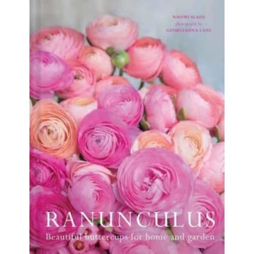 Ranuculus (inbunden, eng)