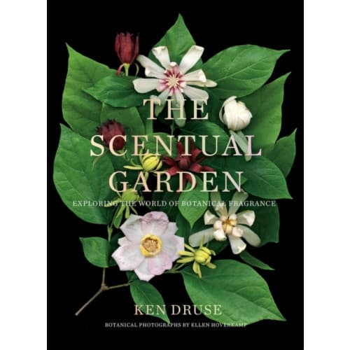 The Scentual Garden: Exploring the World of Botanical Fragrance (inbunden, eng)
