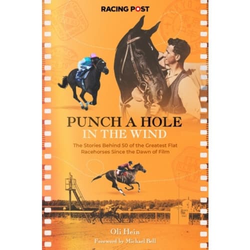 Punch a Hole (inbunden, eng)