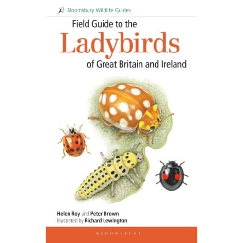 Field Guide to the Ladybirds of Great Britain and Ireland (häftad, eng)
