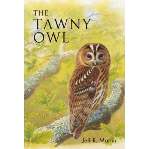 The Tawny Owl (häftad, eng)