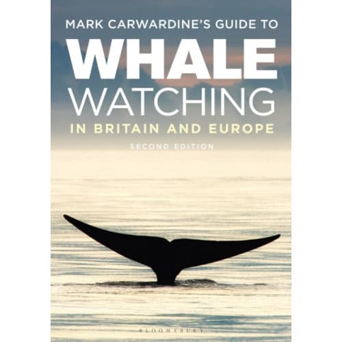 Mark Carwardine's Guide To Whale Watching In Britain And Europe (häftad, eng)
