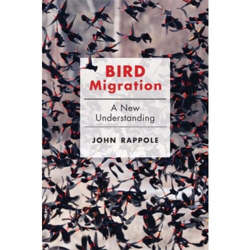 Bird Migration (inbunden, eng)