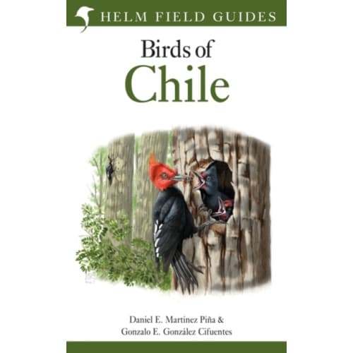 Field Guide to the Birds of Chile (häftad, eng)
