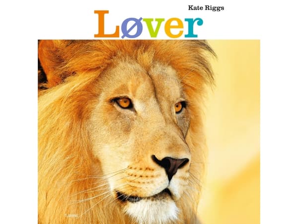 Løver | Kate Riggs