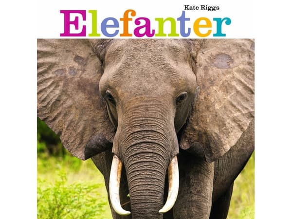 Elefanter | Kate Riggs | Språk: Danska