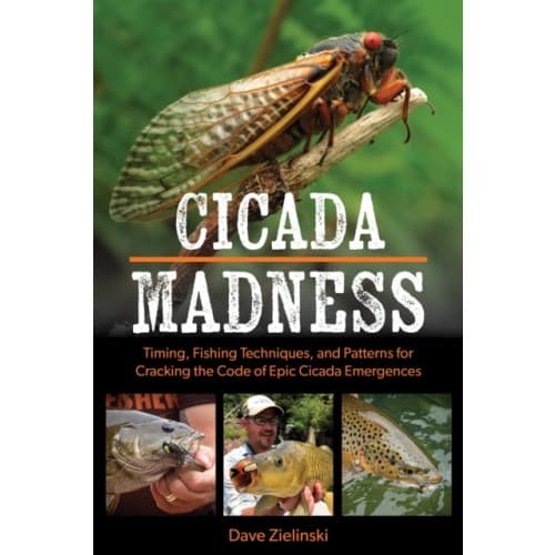 Cicada Madness (häftad, eng)