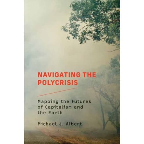 Navigating the Polycrisis (häftad, eng)