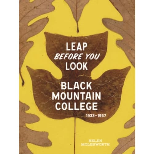 Leap Before You Look (inbunden, eng)