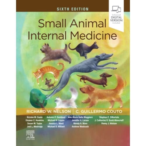 Small Animal Internal Medicine (inbunden, eng)