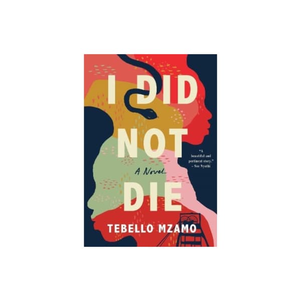 I Did Not Die (häftad, eng)