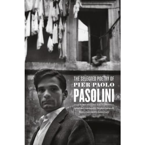 The Selected Poetry of Pier Paolo Pasolini (häftad, eng)