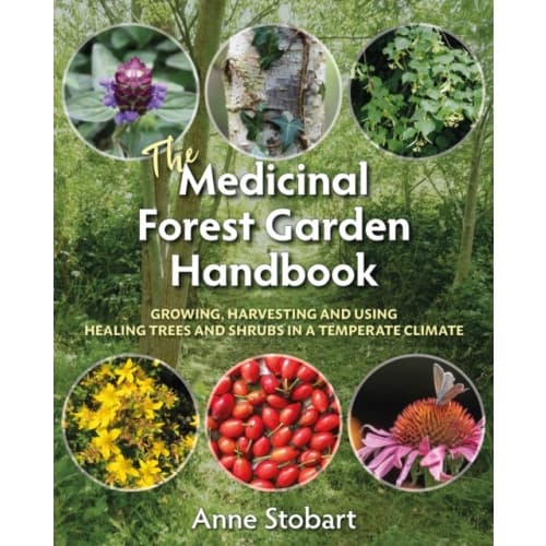 The Medicinal Forest Garden Handbook (häftad, eng)