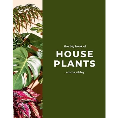 The Big Book of House Plants (inbunden, eng)