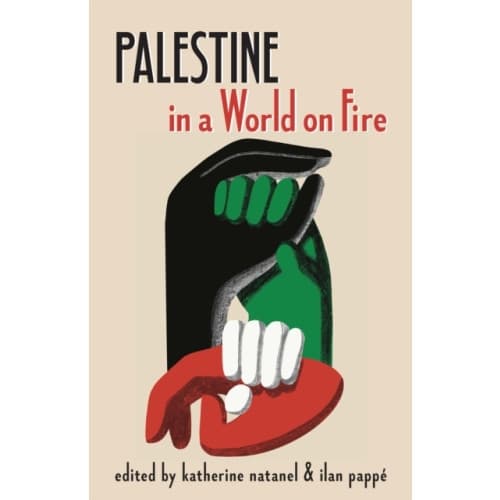 Palestine in a World on Fire (häftad, eng)