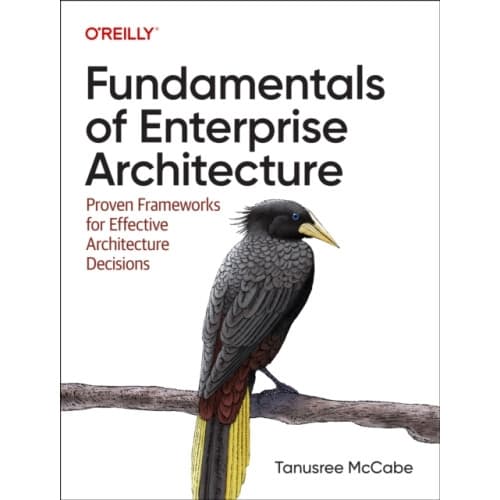 Fundamentals of Enterprise Architecture (häftad, eng)