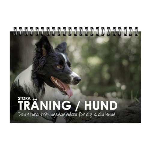 Stora Träning/Hund : den stora träningsdagboken för dig och din hund (bok, spiral)