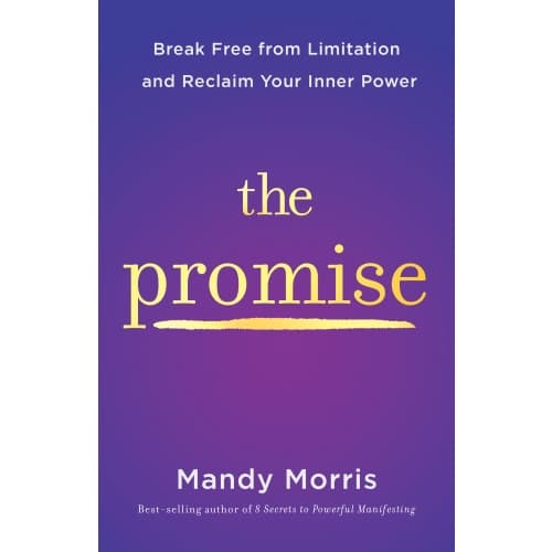 The Promise (inbunden, eng)