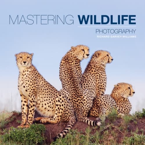 Mastering Wildlife Photography (häftad, eng)