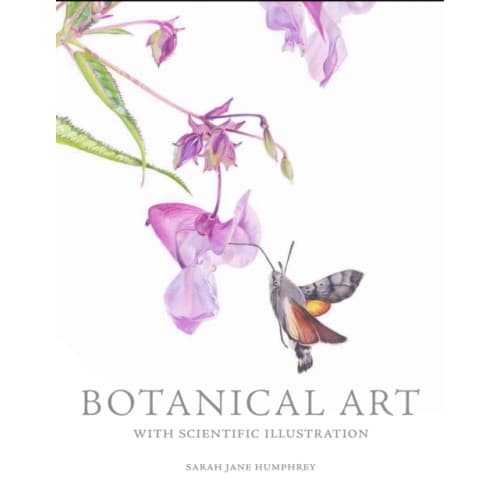 Botanical Art with Scientific Illustration (häftad, eng)