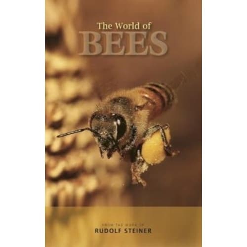 The World of Bees (häftad, eng)