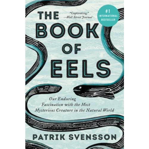 The Book of Eels (häftad, eng)