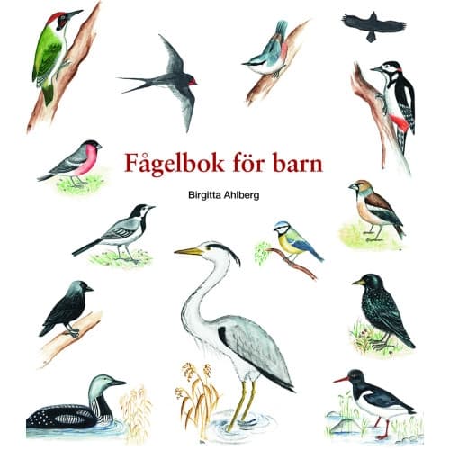 Fågelbok för barn (häftad)