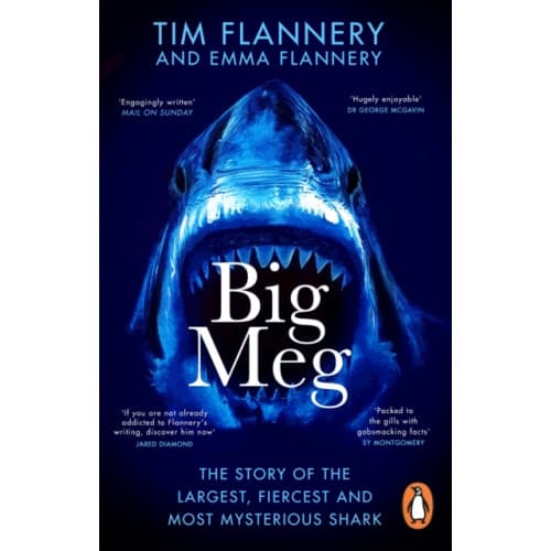Big Meg (häftad, eng)