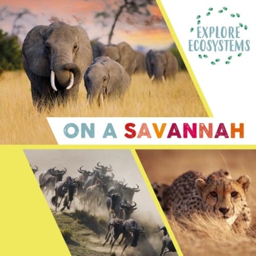 Explore Ecosystems: On a Savannah (häftad, eng)