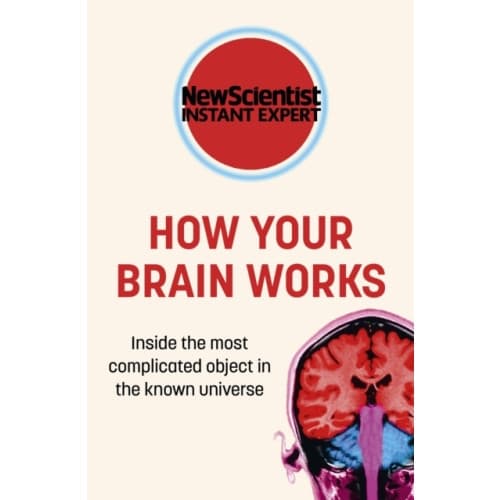 How Your Brain Works (häftad, eng)