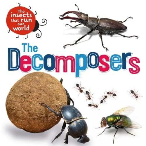 The Insects that Run Our World: The Decomposers (häftad, eng)