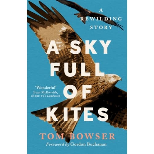 A Sky Full of Kites (häftad, eng)