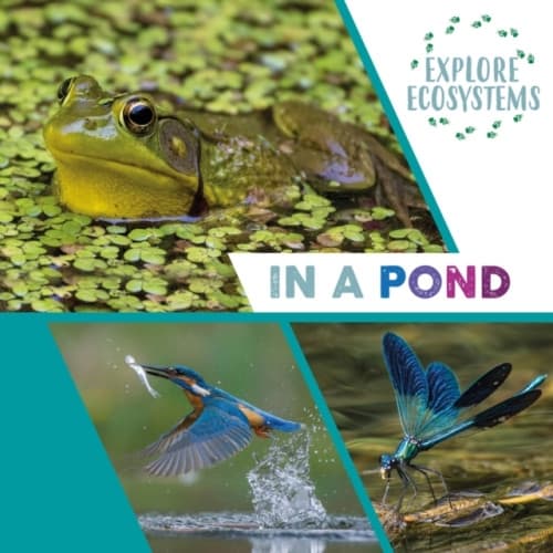 Explore Ecosystems: In a Pond (häftad, eng)