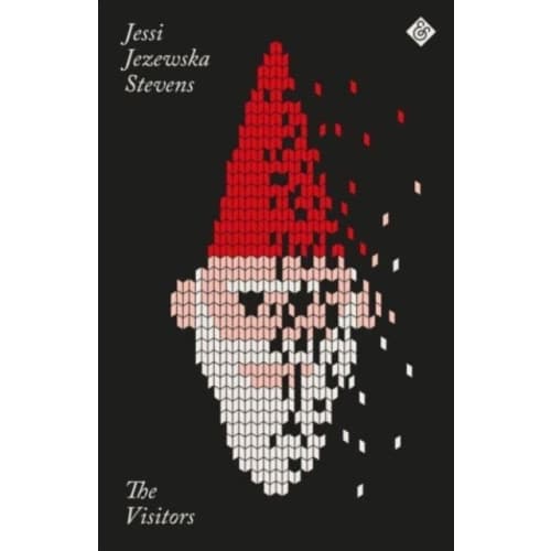The Visitors (Paperback Edition) (häftad, eng)