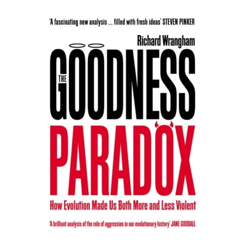 The Goodness Paradox (häftad, eng)