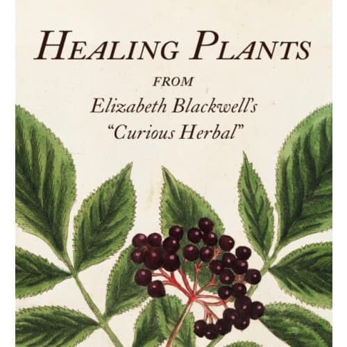 Healing Plants (inbunden, eng)