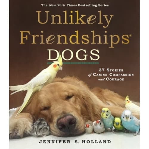 Unlikely Friendships: Dogs (häftad, eng)