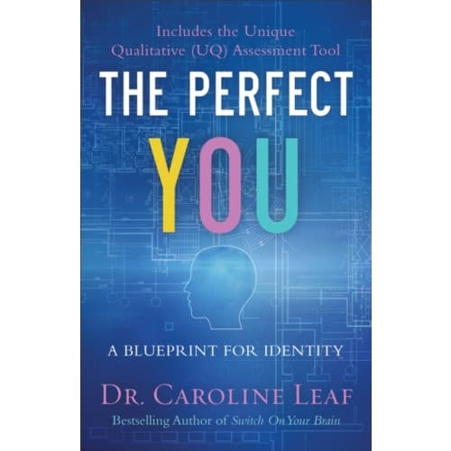 The Perfect You – A Blueprint for Identity (häftad, eng)