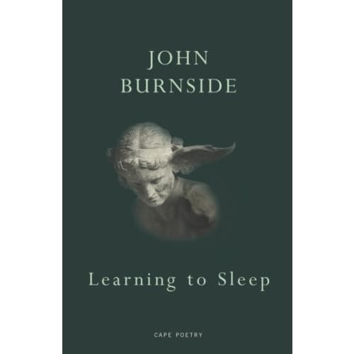 Learning to Sleep (häftad, eng)