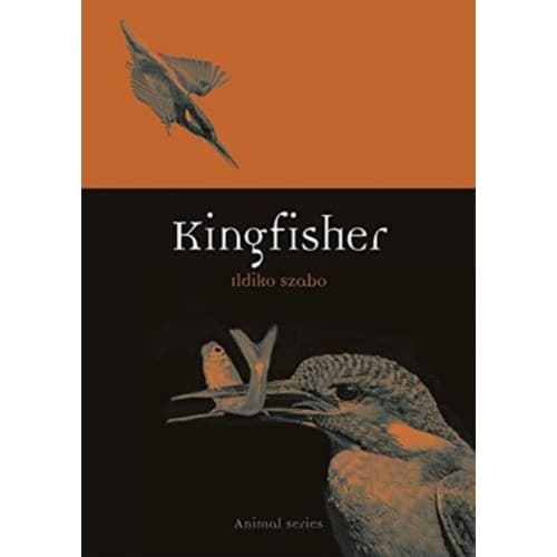 Kingfisher (häftad, eng)