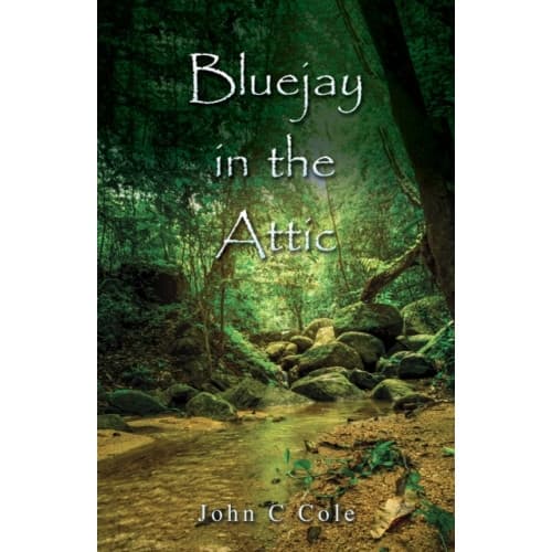 Bluejay in the Attic (häftad, eng)