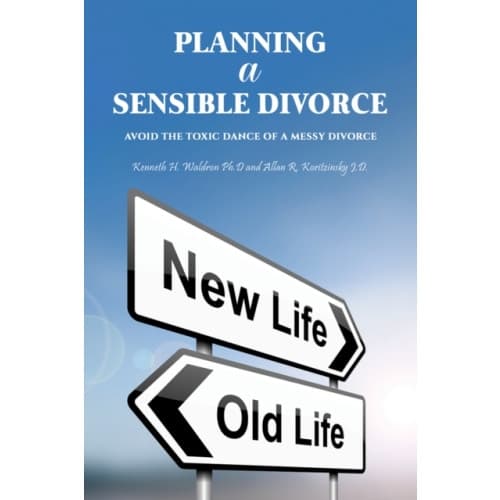 Planning a Sensible Divorce (häftad, eng)