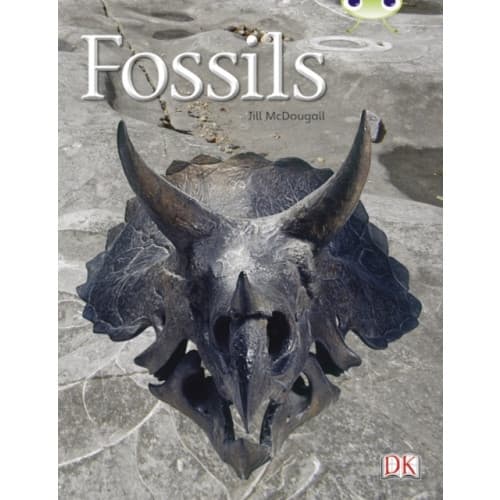 Bug Club Guided Non Fiction Year Two Gold A Fossils (häftad, eng)