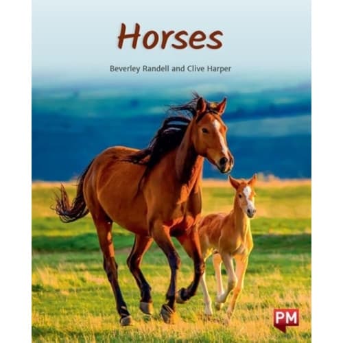 HORSES (häftad, eng)