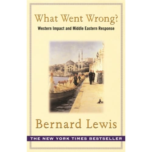 What Went Wrong? (häftad, eng)