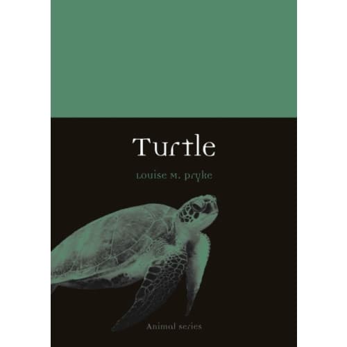 Turtle (häftad, eng)