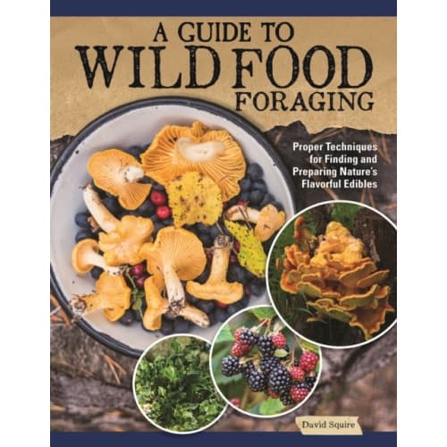 A Guide to Wild Food Foraging (häftad, eng)