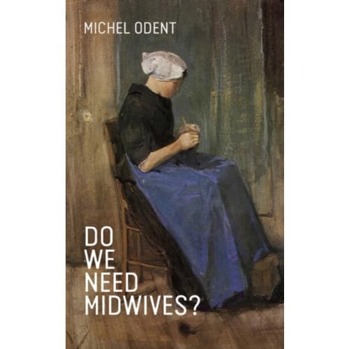 Do We Need Midwives? (häftad, eng)