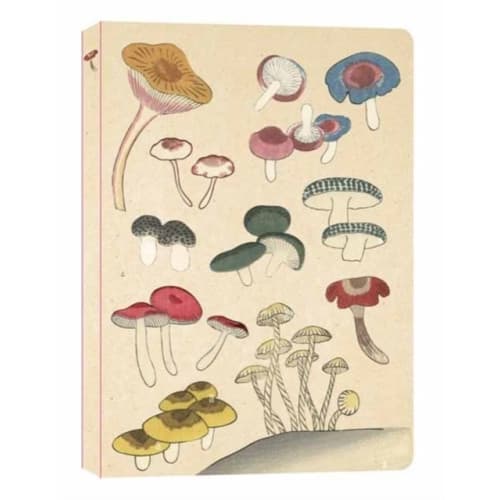 Healing Mushrooms Lined Paperback Journal (häftad, eng)