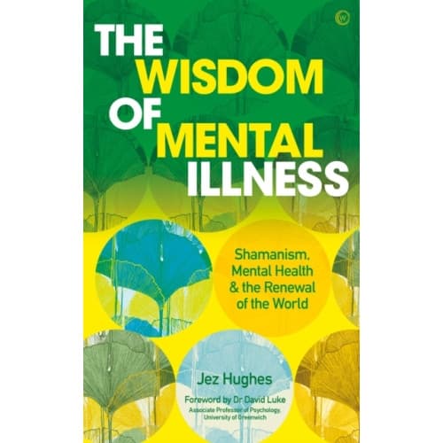The Wisdom of Mental Illness (häftad, eng)